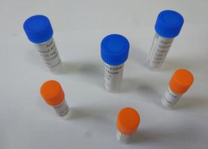 China Customized Anti-EDDP Mouse / Rat Monoclonal Antibodies For Vitro Research factory