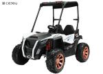 Powered Ride-On UTV with Ceiling,Kids Ride on Truck, Children Electric Ride on