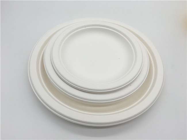 6 Inch Microwavable Party Bagasse Disposable Plates