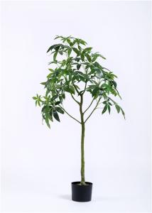 China 5 Ft Artificial Decorative Trees Evergreen Money Tree Longlife High Density Anti UV factory