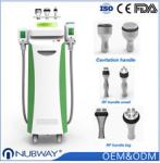 1800W 10.4 inch Cryolipolysis Slimming Machine for Spa