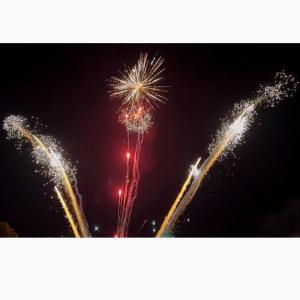 China Liuyang Supplier Outdoor Consumer Cake Fireworks Celebrated Innovative Fireworks Cake factory