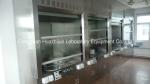Supply Steel Laboratory Fume Hood For Laboratory Importers and Dealers
