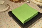 Absorbent Patterned Paper Napkins , 16-20gsm 2ply Disposable Dinner Napkins
