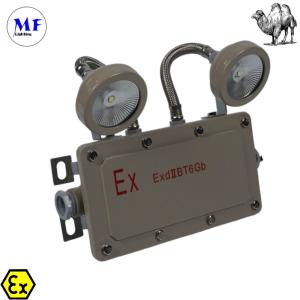 24h Hour Time Lithium Battery Green Rechargeable 6000K 100-240V LED Emergency