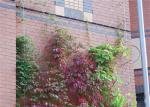 100*100mm Stainless Steel Rope Mesh Green Wall 1mm Garden Mesh Climbing Plant