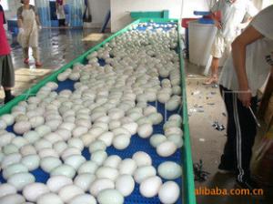 China Food Grade Conveyor Belt / Mini Belt Conveyor/Manual Conveyer Belt Conveyor for Sale factory