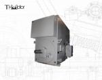 H355 H1120 High Voltage Explosion Proof Electric Motor IMB3