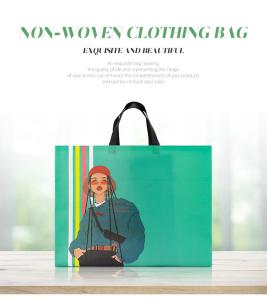 China Custom Printing Non Woven Clothing Bags Eco Friendly Biodegradable factory