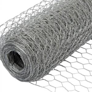 China TLSW Galvanized Hexagonal Wire Netting Chicken Wire Mesh BWG22 factory