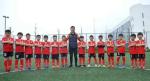 SGS Synthetic Grass Carpet Artificial Lawn Landscaping Football Court Decorative