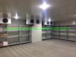 Blood-Red Deep Freezer for Fish and Pork in Cold Storage Industrial PU/XPS