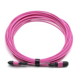 China Male To Female MPO Trunk Cable Assembly 12 Fibers Polarity A OM4 OFNP Magenta Jacket factory
