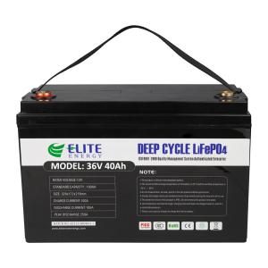 China IP54 36V LiFePO4 Battery factory