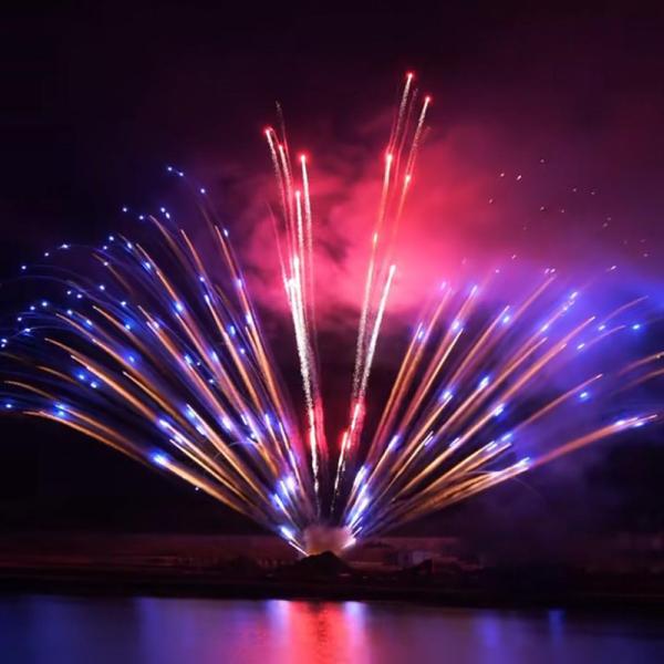 Chinese Factory Pyrotechnics Wholesale Professional Display Fireworks 1.3g Cake