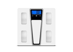 China Explosion Proof 180KG Electronic Body Fat Analyser Scale factory