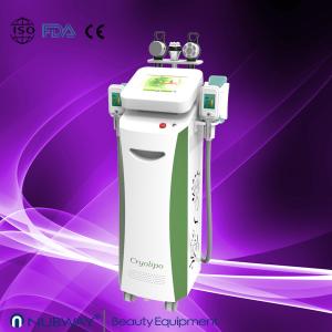 China Good Results-- cryolipolysis vacuum slimming beauty machine with Bottom Price factory