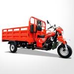 Motorized 150CC Cargo Tricycle with Glass Headlight and 10-20L Fuel Tank