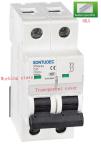 63A 2P Din Rail 6ka MCB Circuit Breaker With Busbar