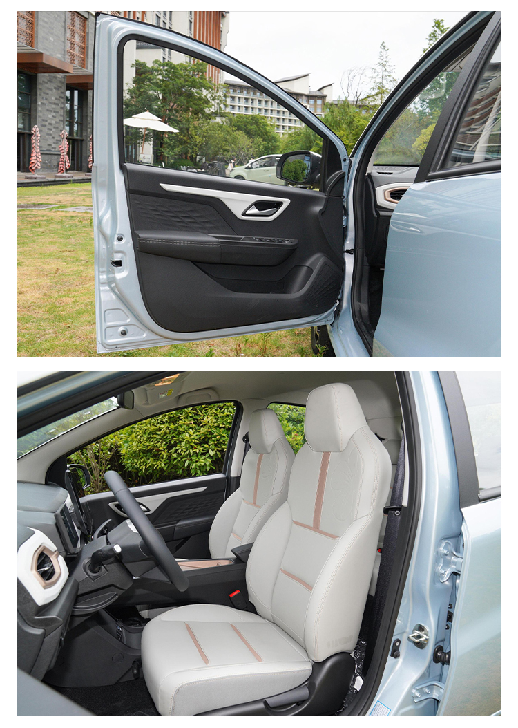 2023 Energy Electric Vehicle Sol E10x 5 Seat Left Hand Drive 102Km/h 0km Maximum Speed 102Km/h Battery Capacity 31.4Kwh