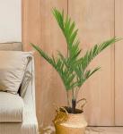 Soft Artificial Potted Floor Plants Kenita Pot For Home Decor Uv Resistant