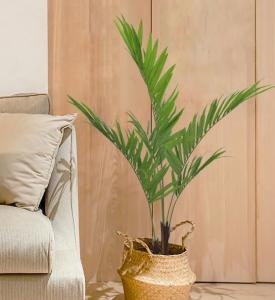 China Soft Artificial Potted Floor Plants Kenita Pot For Home Decor Uv Resistant factory