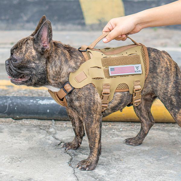 Outdoor Tactical Pet Training Chest Strap With Hypalon Material Dog Harness Dog