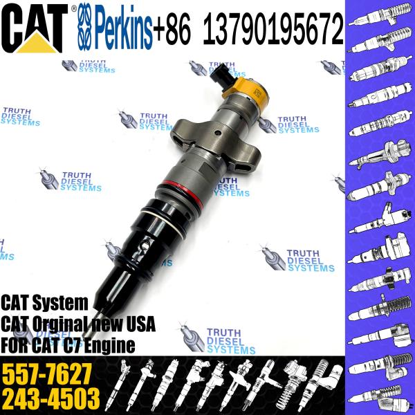 C7 C9 Fuel Injector 387-9427 557-7627 293-4071 295-1411 293-4573 10R-4763 20R