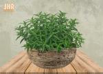 Weathered Plant Pots Garden Flower Pots Clay Pot Planters Fiberclay Outdoor