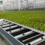 Customized Size Lettuce Green House Easy Installation With Sliding / Swing Door