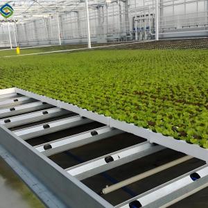 China Customized Size Lettuce Green House Easy Installation With Sliding / Swing Door factory