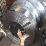 Cold Rolled Stainless Steel Strip 201 316L 301 410 Foil Roll Sheet Material