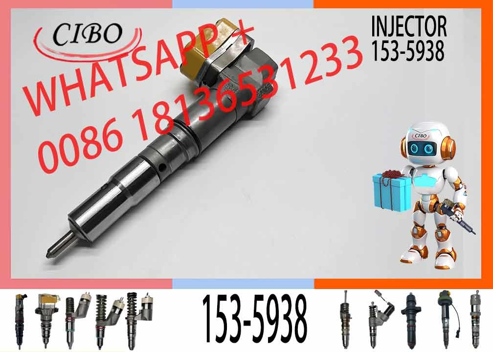 Common rail injector fuel injector10R-1265 173-9379 138-8756 174-7526 174-7528 179-6020 153-5938 for 3412 3412E/5110B