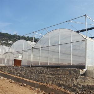 Commercial Polytunnel Multi-Span Greenhouse Modular Design Large-Scale