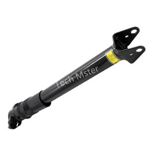 China Air Strut Air Suspension Shocks For Mercedes Benz W251 R-Class Oe 2513202231 factory