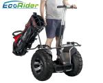 Electric Self Balancing Scooters 21 inch big tire 2 wheel s4000w Segway