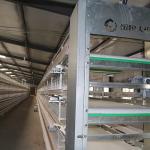 Egg Holding Wired Layer Farming Cage , Scientific Designed Layer Hen Cages
