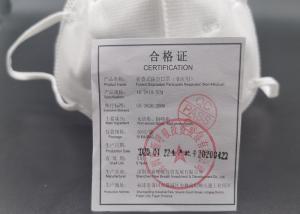 China N95 Anti Pollution Mask N95 Particulate Respirator Mask For Children factory