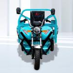 Electric Trike Tricycle for Cargo Cab Driving DAYANG 1000W Motor 50 Km/h 400 kg