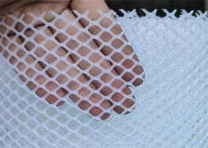 China 1.2cm Plastic Mesh Netting Hexagonal Hole Aquaculture Flat Breed factory