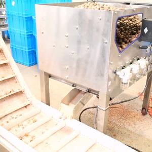 220V CE Dry Cracking Pecan Shelling Machine Connect To IR Kernel Shell Separator