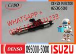 Construction Machinery Parts Diesel Engine Common Rail Fuel Injector 095000-5000