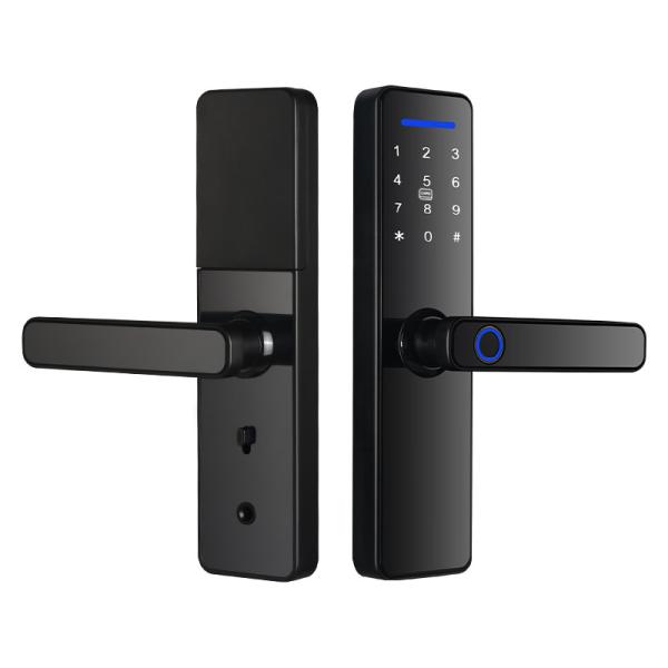 Intelligent Fingerprint Key Password Card Tuya Smart Home Door Lock for Steel