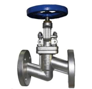 China A351 Cf8 Flange Thread End Globe Valve 600psi Stainless Steel Globe Valve factory