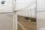 Agricultural Plastic Polytunnel Greenhouse Single Span For Vegetable Fruits