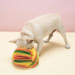 Dog Toy Pet Sniffing Bulb Dog Educational Supplies Sniffing Pad Slow Food
