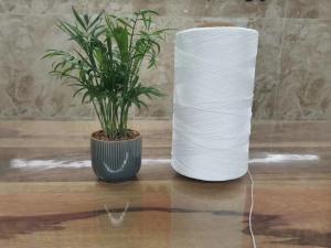 China Beige Kitchen PP String 1mm Bakers Twine 2 Ply Sausage String Rope Cord Wrapping factory