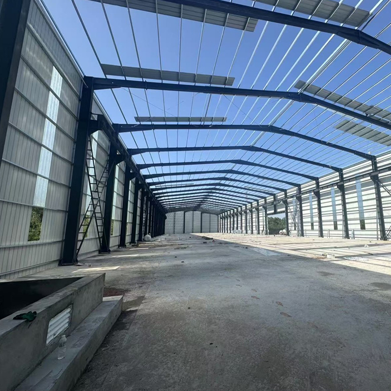 Quick and Easy Installation Customized Color Prefabricated Warehouse Steel Structure Building with Steel Door