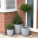 Wholesale Real Plant Display With Fiber Clay Planters Decoration