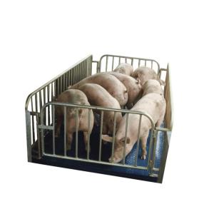 China Pig Goat Cow Cattle Weighing Scales , Sheep Weighing Scales Electronic Digital factory